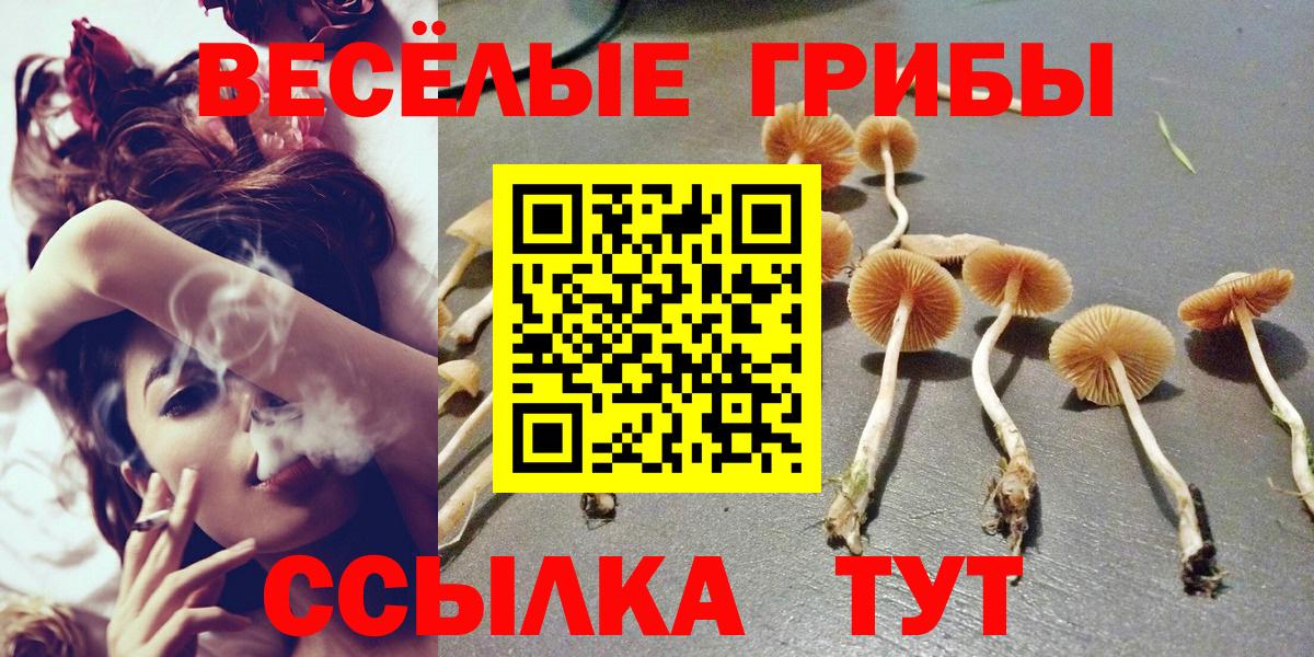 Псилоцибиновые грибы GOLDEN TEACHER  Вход с VPN  купить наркотики сайты  Новоуральск 