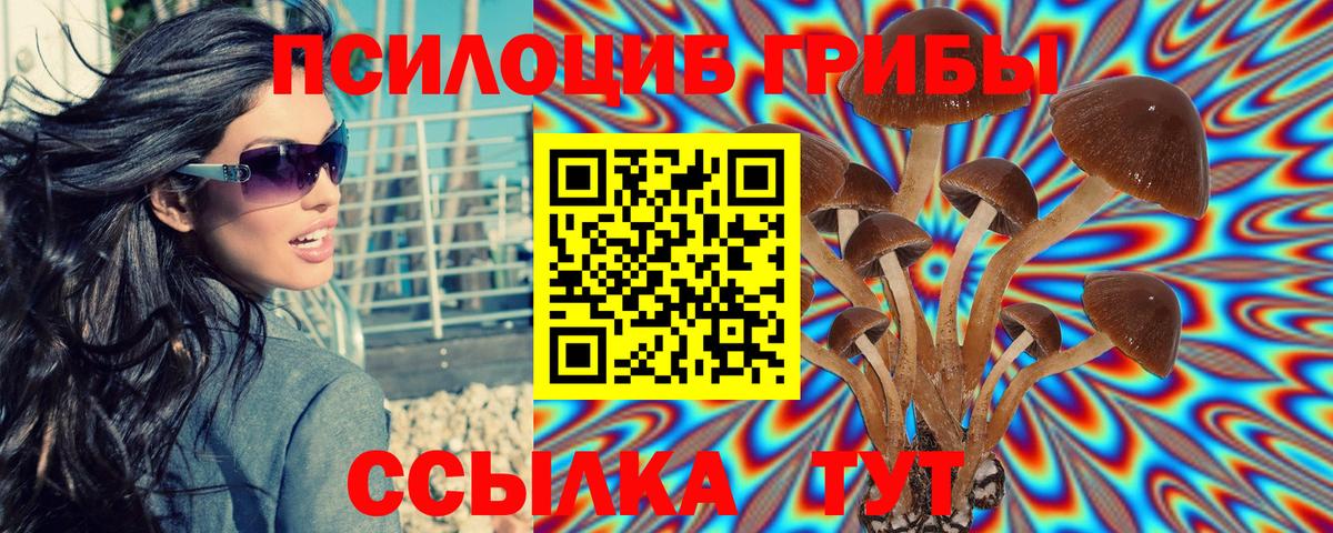 Галлюциногенные грибы Cubensis Новоуральск